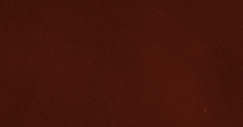 Dainel SG Rouille 05 flocked fabric