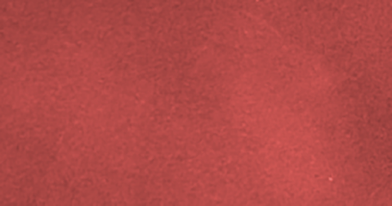 Tessuto floccato Dainel SG Corail 47