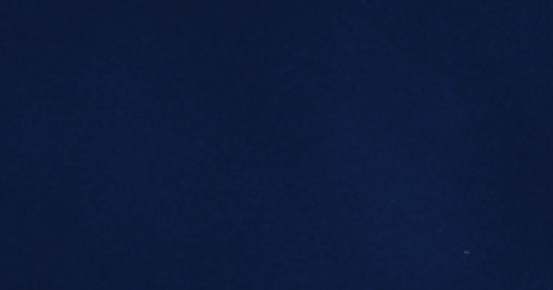 Dainel SG Ocean 50 flocked fabric