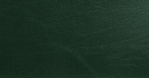 Buckplast Serie 1300 - Verde